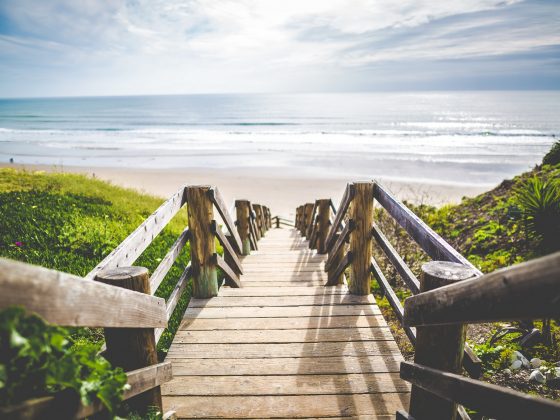 view of new zealand beach from a boardwalk