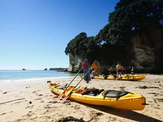 New Zealand Active Outdoor Adventures Kayaking Cathedral Cove