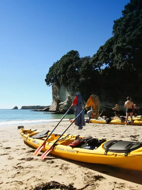 New Zealand Active Outdoor Adventures Kayaking Cathedral Cove